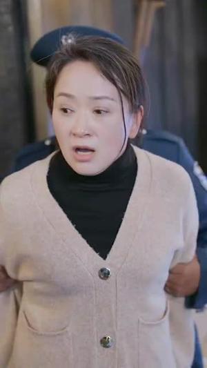 《奶奶姥爷向前冲（75集）李予苏（夸克网盘）》短剧封面