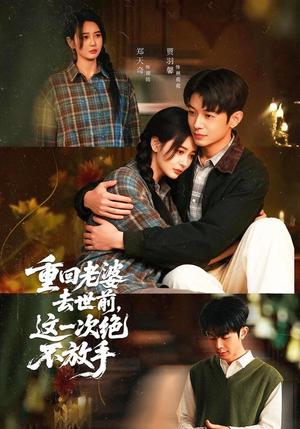 《重回老婆去世前，这一次绝不放手（80集）郑天奇＆贾羽馨（夸克网盘）》短剧封面