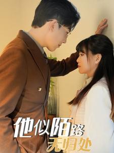 《他似陌路无归处（30集）赵宏伟＆胡雪艺（夸克网盘）》短剧封面