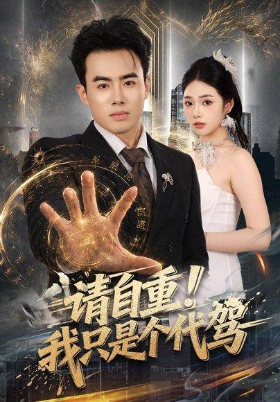 《请自重!我只是个代驾(80集)王蕴成&李奕璇(百度网盘)》短剧封面