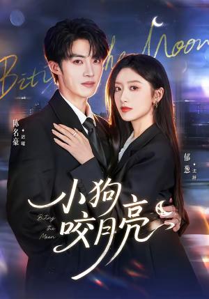 《小狗咬月亮（66集）陈名豪＆郁葱（夸克网盘）》短剧封面