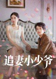 《追妻小少爷》短剧封面