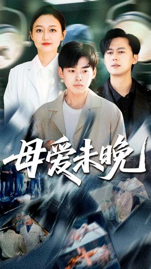 《母爱未晚（69集）解琳&刘奕辰（夸克网盘）》短剧封面
