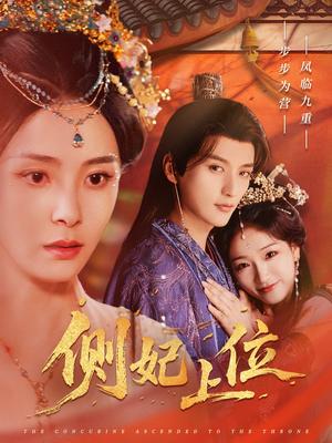 《侧妃上位(80集)徐凯鑫&宋美萱(夸克网盘)》短剧封面