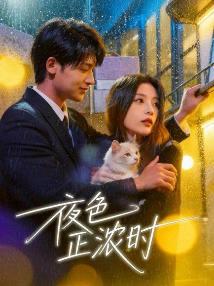 《夜色正浓时(32集)徐梅&谭伟英&博之(百度网盘)》短剧封面