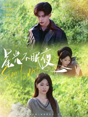 《星光不眠夜（79集）贾赛赛&马敬媛》短剧封面