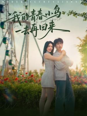 《我的青春小鸟一去再回来(95集)严浩&刘彦君&瑞子&王希如(夸克网盘)》短剧封面
