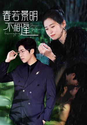 《春若景明不相逢（50集）（夸克网盘）》短剧封面