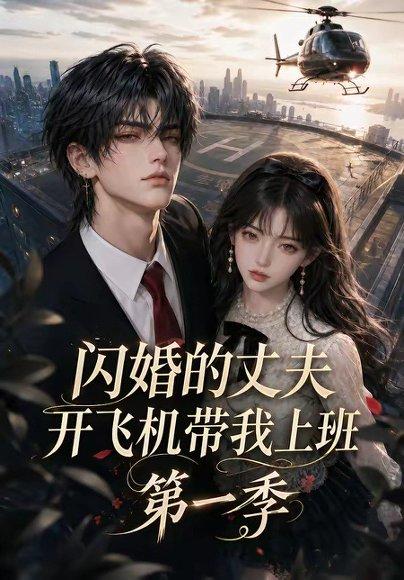《闪婚的丈夫开飞机带我上班第一季(91集)(百度网盘)》短剧封面