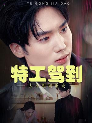 《特工驾到大小姐闹够没&特工驾到大小姐别闹了(40集)韩江宇(夸克网盘)》短剧封面