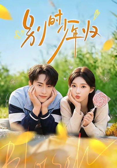 《别时少年归(55集)刘辰宇&陈诗诗(百度网盘)》短剧封面