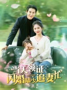 《当天领证闪婚陆少追妻忙(80集)(夸克网盘)》短剧封面