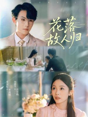 《花落故人归(66集)李沐珩&钟露莹》短剧封面