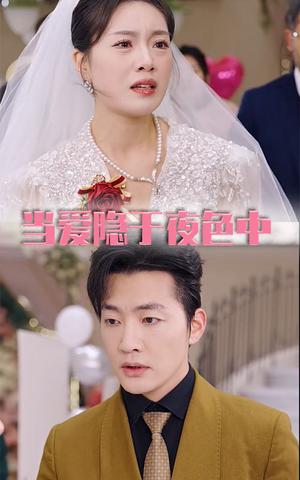 《当爱隐于夜色中（37集）张子唯（夸克网盘）》短剧封面