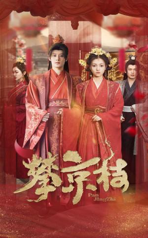 《攀京枝(62集)秦伟钊&樊楚琦(夸克网盘)》短剧封面