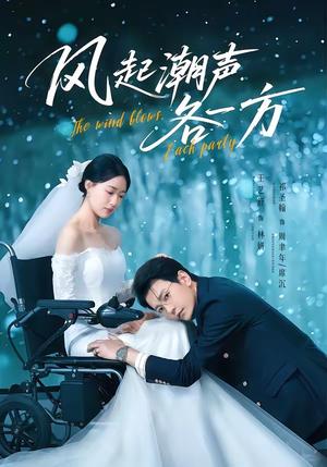 《风起潮声各一方(84集)祁圣翰&王艺舒(夸克网盘)》短剧封面