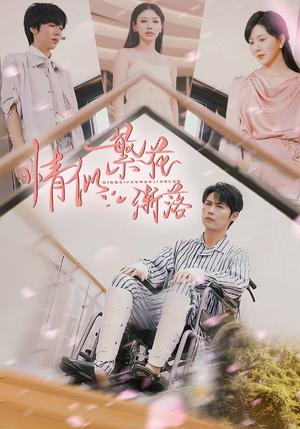 《情似繁花渐落（62集）李明源&顾沅真（夸克网盘）》短剧封面