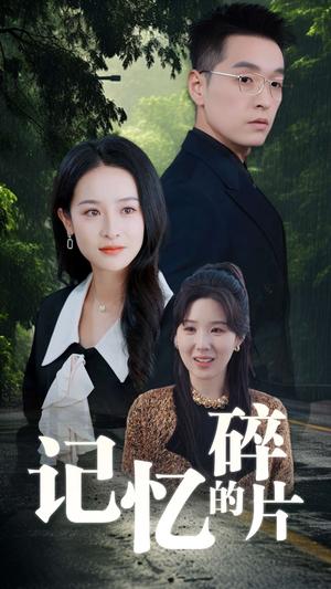 《记忆的碎片(50集)赵龙&王蔼玲(夸克网盘)》短剧封面