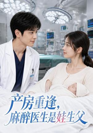 《产房重逢,麻醉医生是娃生父(27集)(夸克网盘)》短剧封面