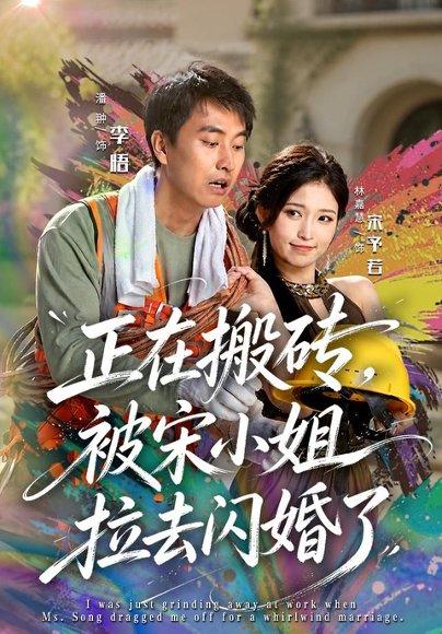 《正在搬砖,被宋小姐拉去闪婚了(80集)潘翀&林嘉慧(百度网盘)》短剧封面