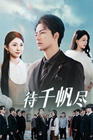 《新版：待千帆尽（34集）吴昊（夸克网盘）》短剧封面