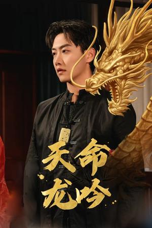《天命龙吟（48集）（夸克网盘）》短剧封面