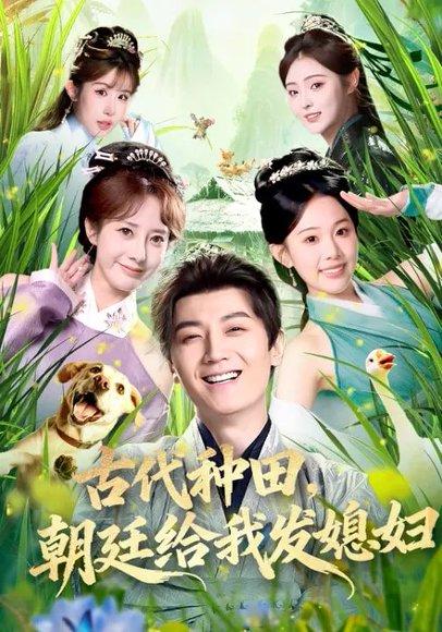 《古代种田，朝廷给我发媳妇（81集）刘子洋&倪浩森（百度网盘）》短剧封面
