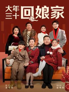 《大年三十回娘家（30集）滕艺（夸克网盘）》短剧封面