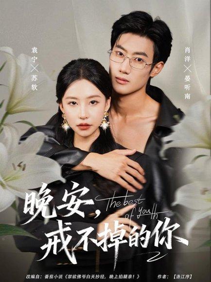 《晚安,戒不掉的你(68集)》短剧封面