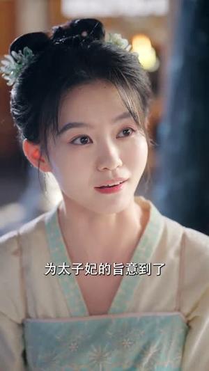 《贬妻为妾，医女竟是长公主&贬妻为妾医女竟是长公主（80集）程澄&韩雨彤》短剧封面