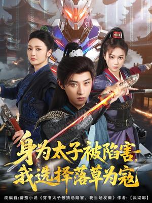 《身为太子被陷害,我选择落草为寇(87集)孙景琛&胡冬晴(夸克网盘)》短剧封面