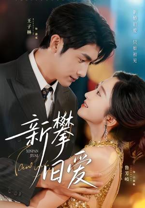 《新攀旧爱(67集)王子林&鲁芳岐(夸克网盘)》短剧封面