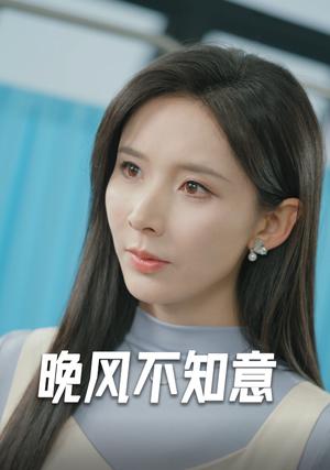 《晚风不知意（31集）丁晓（夸克网盘）》短剧封面