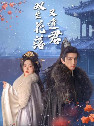 《双生花落又逢君(66集)林可汉&白雪茹(夸克网盘)》短剧封面