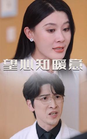 《望心知暖意(31集)(夸克网盘)》短剧封面