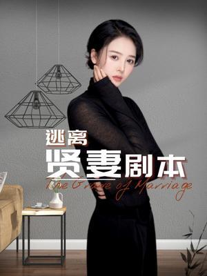 《逃离贤妻剧本（33集）顾佳慧（夸克网盘）》短剧封面