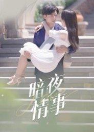 《暗夜情事(100集)李豪&朱梦怡》短剧封面