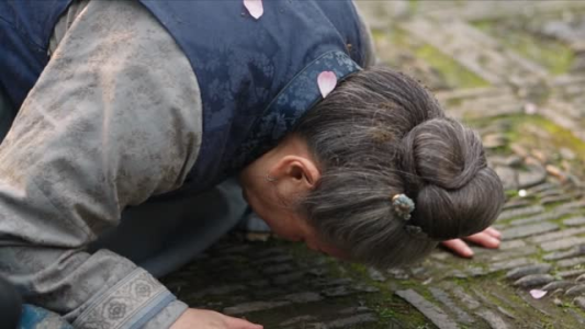 帝龙怀珠,太子殿下千千岁 《帝龙怀珠,太子殿下千千岁》短剧封面