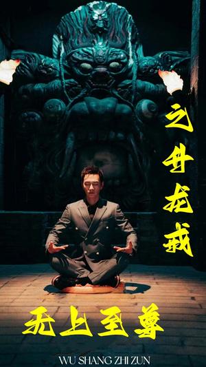 《无上至尊之升龙戒（88集）（夸克网盘）》短剧封面