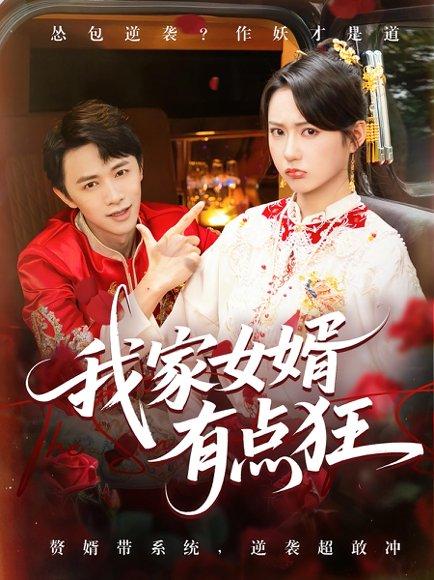 《我家女婿有点狂》短剧封面