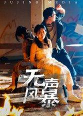 《无声风暴(33集)鄢子纶(百度网盘)》短剧封面