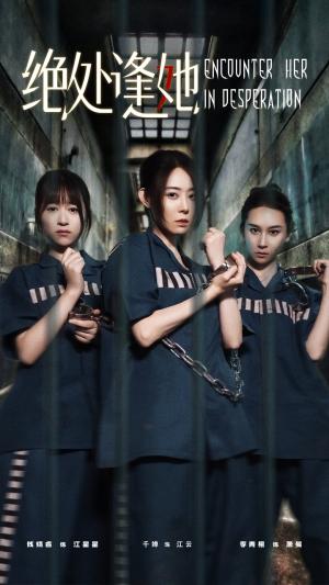 《绝处逢她(47集)辰鑫&千婵》短剧封面