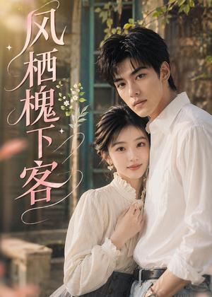 《风栖槐下客(69集)(夸克网盘)》短剧封面