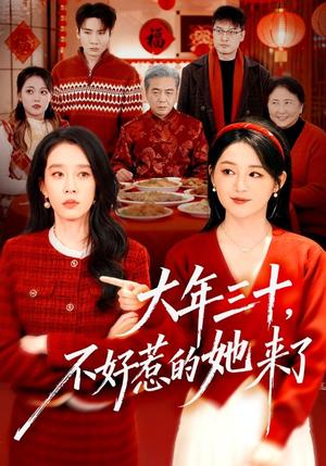 《大年三十,不好惹的她来了(60集)刘博洋&崔秀子(夸克网盘)》短剧封面
