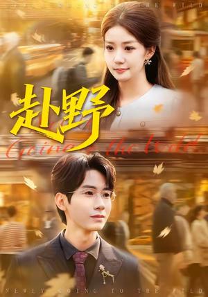 《赴野（40集）宜樊＆丁珂丹（夸克网盘）》短剧封面