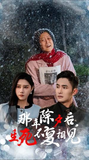 《那年除夕后生死不复相见（48集）魏昕怡（夸克网盘）》短剧封面