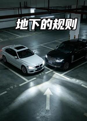 《地下的规则(20集)AI短剧(夸克网盘)》短剧封面