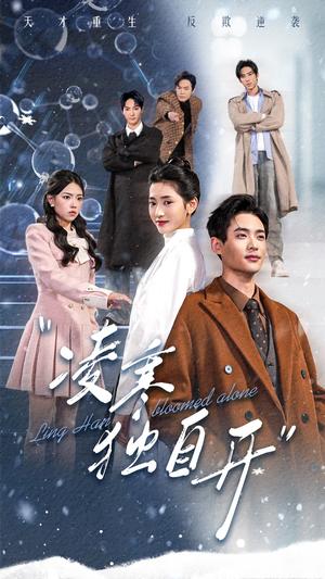 《凌寒独自开(59集)秦远&汪巧(夸克网盘)》短剧封面