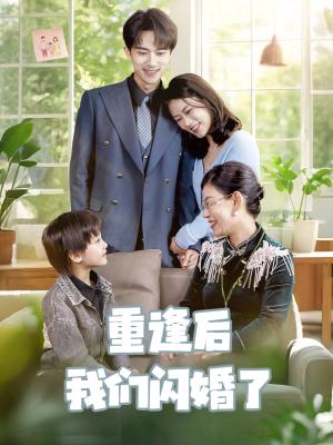 《重逢后我们闪婚了(35集)李永臻&黄柳月》短剧封面