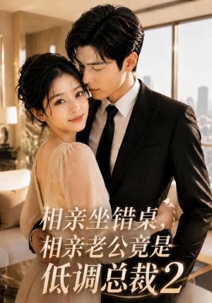 《相亲坐错桌,相亲老公竟是低调总裁2(100集)(夸克网盘)》短剧封面